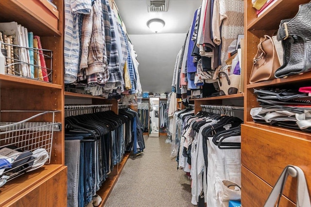 26 Tioga Dr, Jericho, NY 11753 - walk in closet featuring carpet
