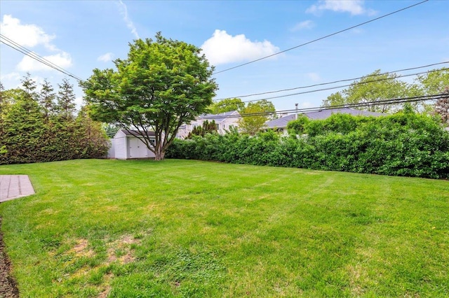 26 Tioga Dr, Jericho, NY 11753 - view of grassy yard with a shed and an outbuilding