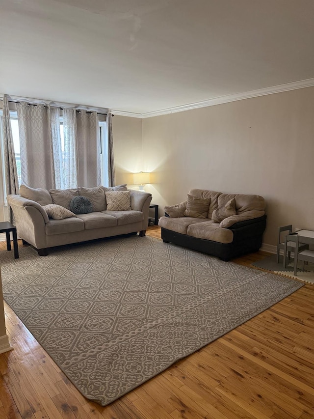 20 Wendell St Unit 9E, Hempstead, NY 11550 - living room with crown molding, hardwood / wood-style flooring, and baseboards