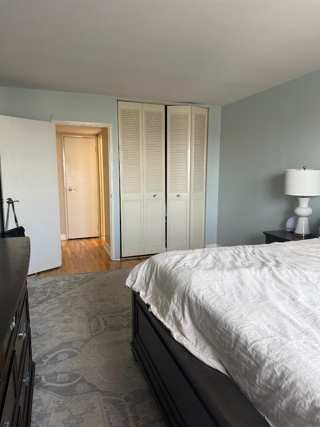 20 Wendell St Unit 9E, Hempstead, NY 11550 - bedroom featuring wood finished floors and a closet