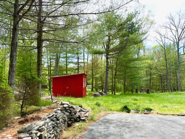 view of yard featuring a forest view and an outdoor structure