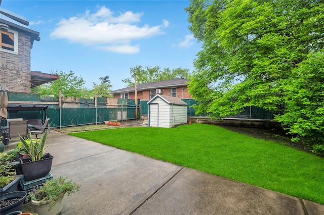 view of yard with a storage unit, a patio area, and an outbuilding