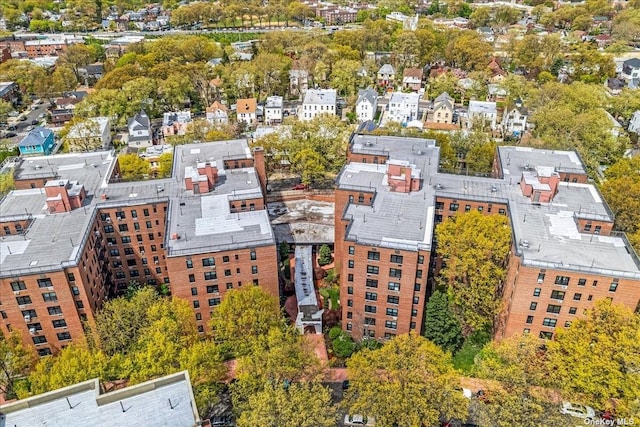 bird's eye view