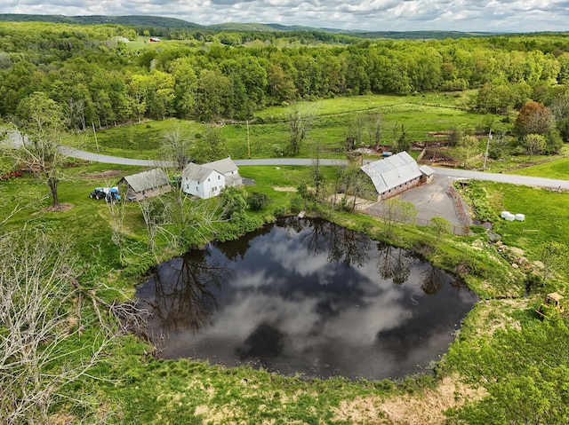 bird's eye view of a forest and a large body of water