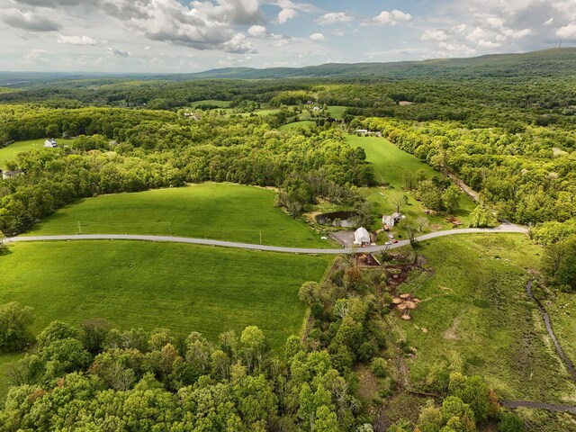 drone / aerial view of a heavily wooded area