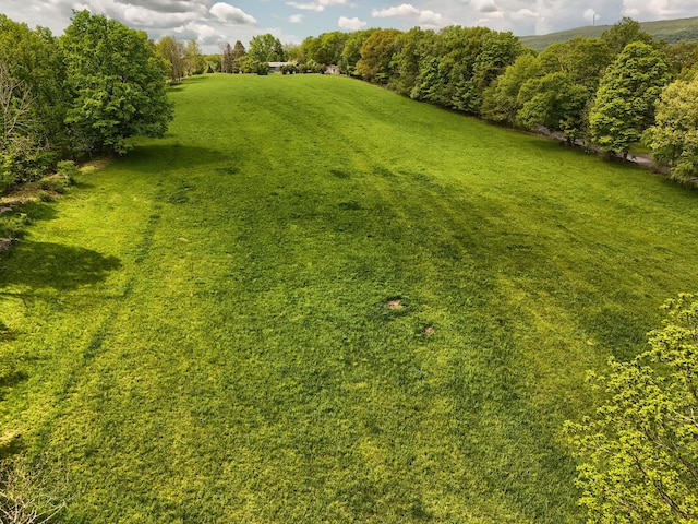 view of green lawn with a view of rural / pastoral area