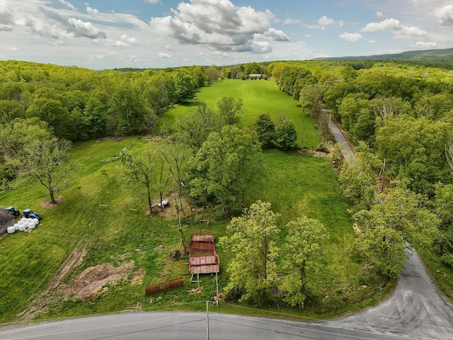aerial view of a forest