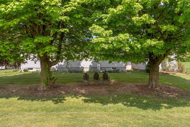 view of grassy yard