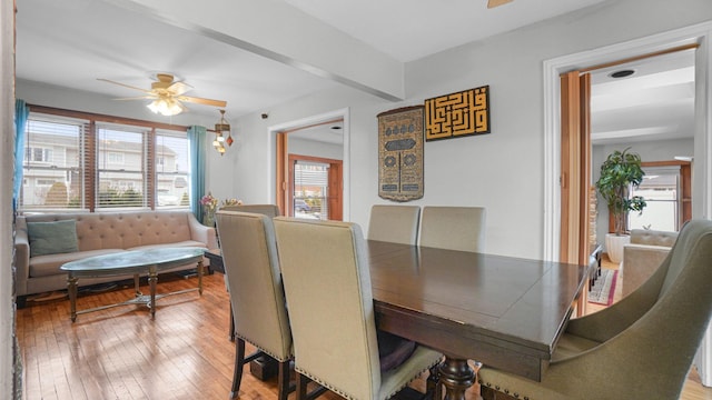 dining room with ceiling fan and hardwood / wood-style floors