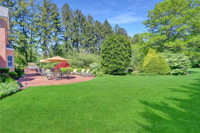 view of grassy yard with a patio