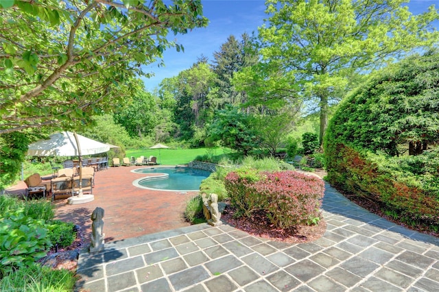 outdoor pool featuring a patio