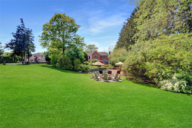 view of grassy yard with a patio area