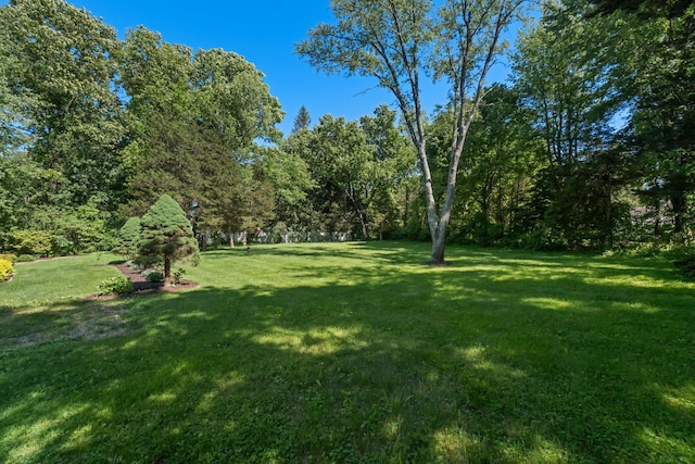 8 Anna D Ct, Hopewell Junction, NY 12533 - view of grassy yard