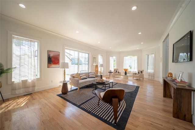 1259 Waterview Dr, Rockville Centre, NY 11570 - living area featuring crown molding, light wood-type flooring, baseboards, and recessed lighting