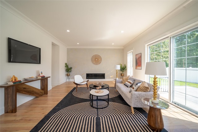 1259 Waterview Dr, Rockville Centre, NY 11570 - living area with light wood-style floors, a glass covered fireplace, crown molding, and recessed lighting