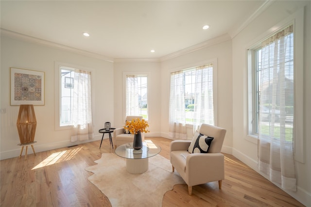 1259 Waterview Dr, Rockville Centre, NY 11570 - living area featuring light wood-type flooring, ornamental molding, baseboards, and recessed lighting