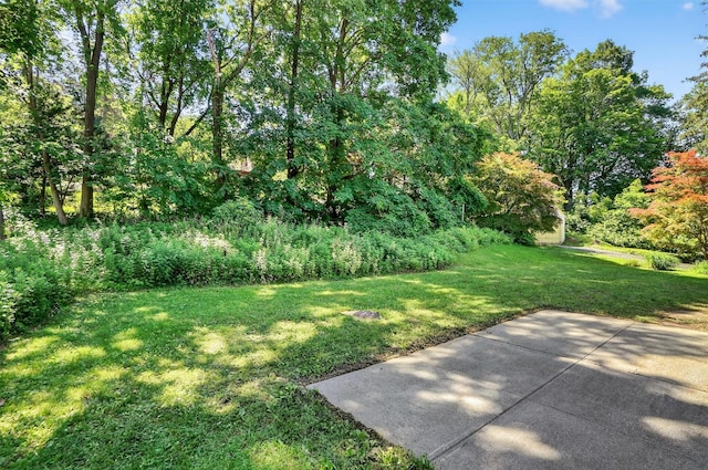 809 Oakwood Dr, Peekskill, NY 10566 - photo 38