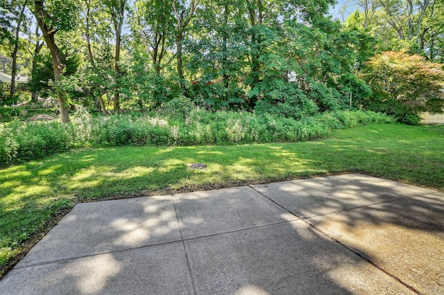 809 Oakwood Dr, Peekskill, NY 10566 - photo 39