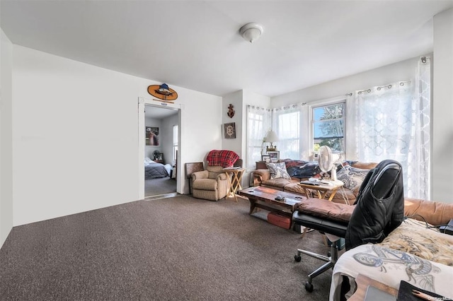 80 Monell Ave, Islip, NY 11751 - view of carpeted living area