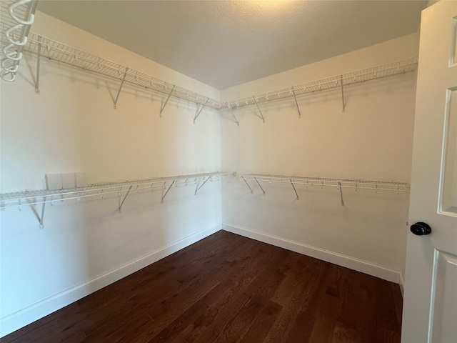 spacious closet featuring dark wood finished floors