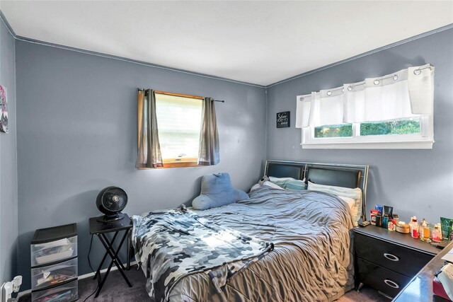 17 Gerhard Rd, Plainview, NY 11803 - carpeted bedroom featuring multiple windows