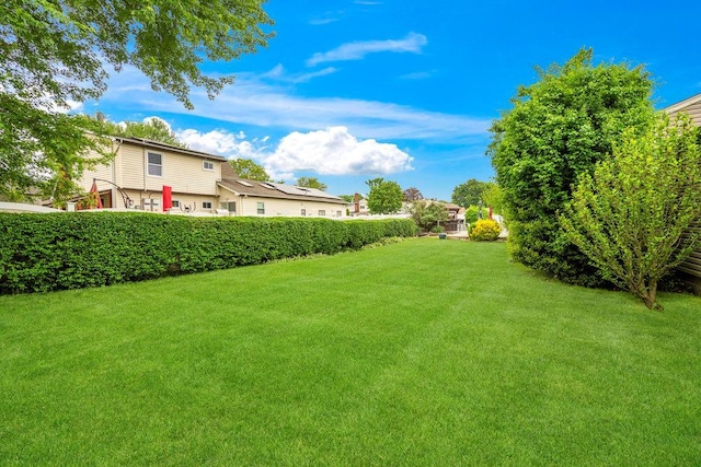 1544 Baldwin Blvd, Bay Shore, NY 11706 - view of grassy yard