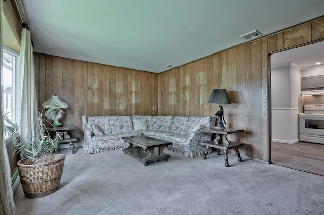 93 Broadway, Massapequa Park, NY 11762 - carpeted living room with wood walls and ornamental molding