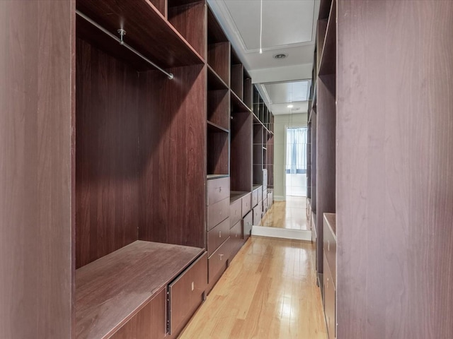 12 Pleasant Ave, Port Washington, NY 11050 - walk in closet featuring attic access and light wood finished floors