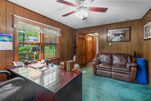 11 Carnelli Ct, Poughkeepsie, NY 12603 - office with wooden walls, carpet floors, and ceiling fan