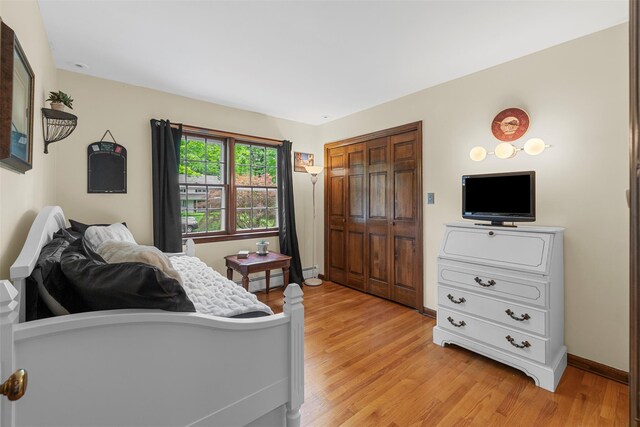 11 Carnelli Ct, Poughkeepsie, NY 12603 - bedroom featuring light wood-style floors