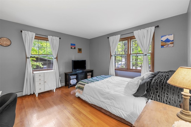 11 Carnelli Ct, Poughkeepsie, NY 12603 - bedroom featuring light wood-style flooring