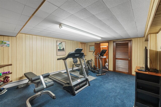 11 Carnelli Ct, Poughkeepsie, NY 12603 - exercise area featuring wood walls and carpet