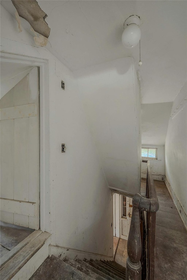 stairway featuring wood finished floors