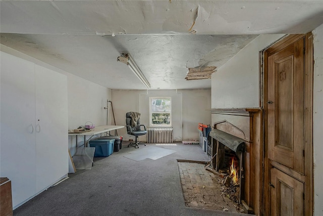 living area featuring carpet and radiator