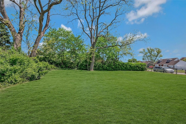 view of grassy yard