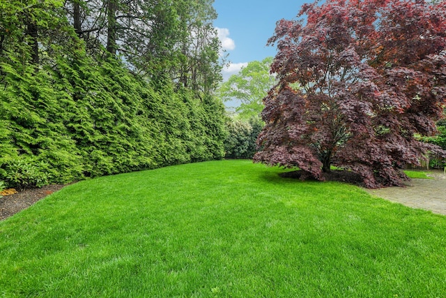 98 Beach Rd, Westhampton Beach, NY 11978 - view of green lawn