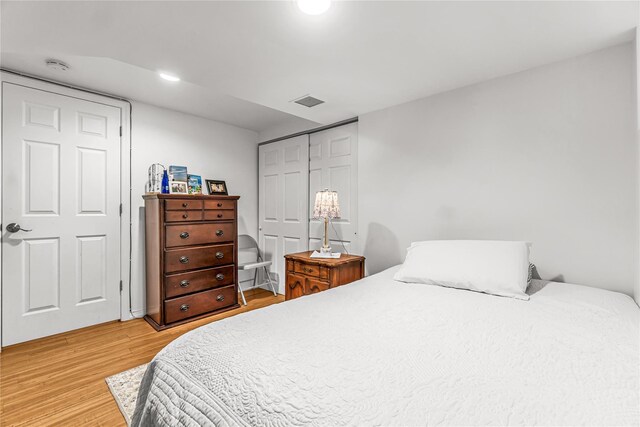 16 Rollhaus Pl, Port Chester, NY 10573 - bedroom with light wood-style flooring and a closet