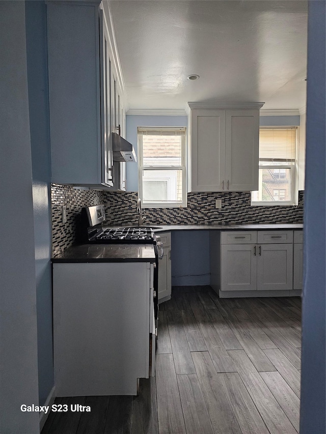 215 S 1st Ave, Mount Vernon, NY 10550 - kitchen featuring dark countertops, ventilation hood, plenty of natural light, wood finished floors, and crown molding