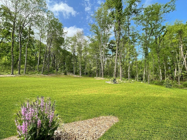 82 Hampton Rd, Marlboro, NY 12542 - photo 28