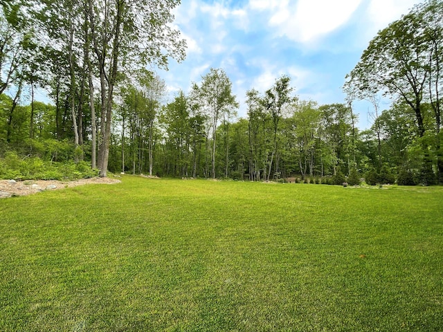 82 Hampton Rd, Marlboro, NY 12542 - photo 29