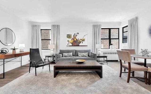 3000 Valentine Ave Unit 2E, Bronx, NY 10458 - living room with radiator heating unit and wood finished floors