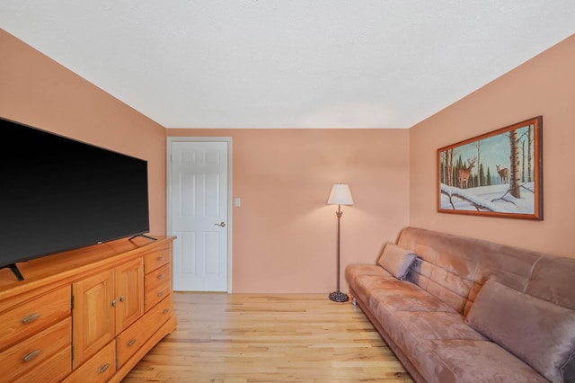 23 John St, Port Jefferson Station, NY 11776 - living area with light wood-type flooring
