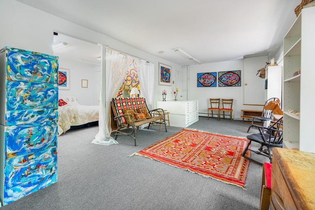 10 S Mountain Pond, Garrison, NY 10524 - living area featuring carpet and a baseboard heating unit