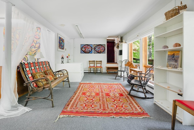 10 S Mountain Pond, Garrison, NY 10524 - sitting room featuring carpet flooring and a baseboard radiator