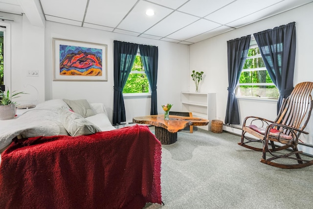 10 S Mountain Pond, Garrison, NY 10524 - living room featuring carpet flooring and a paneled ceiling