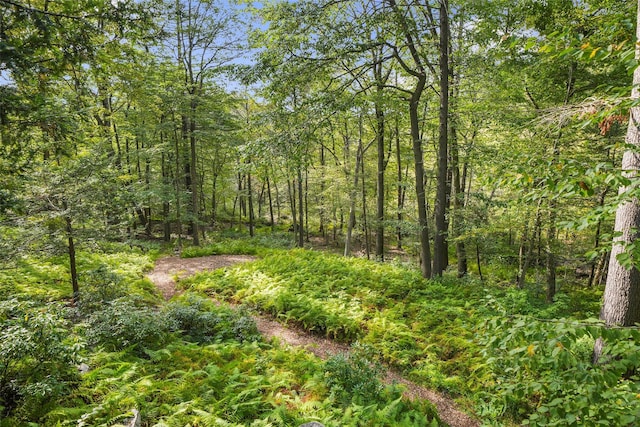 10 S Mountain Pond, Garrison, NY 10524 - view of tree filled area