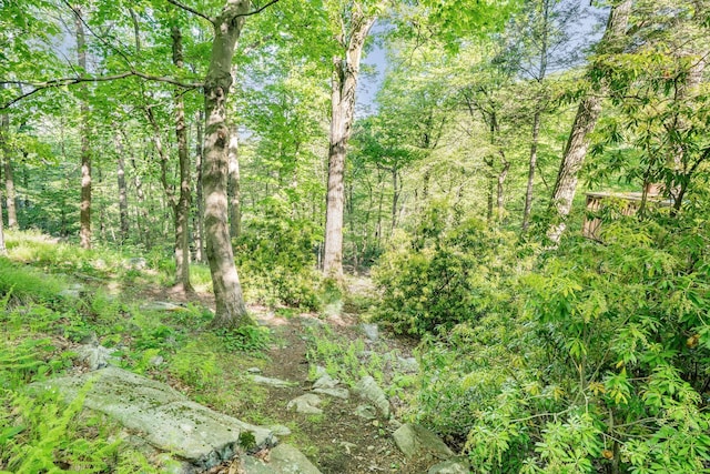 10 S Mountain Pond, Garrison, NY 10524 - view of woods