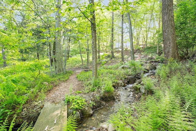 10 S Mountain Pond, Garrison, NY 10524 - view of undeveloped land