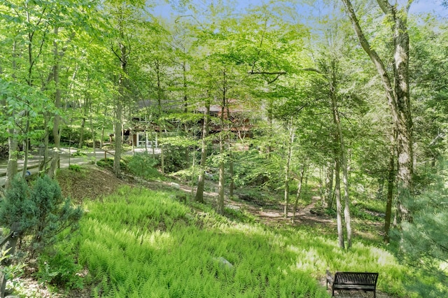 10 S Mountain Pond, Garrison, NY 10524 - view of yard