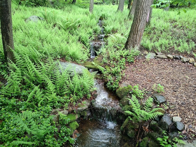10 S Mountain Pond, Garrison, NY 10524 - view of nature